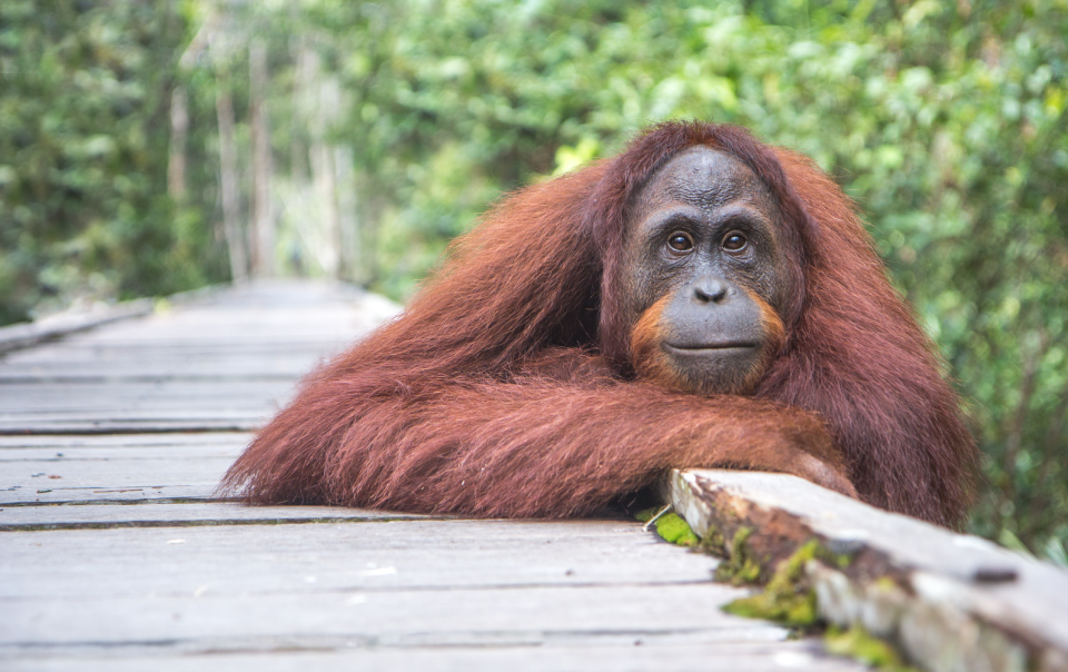 user